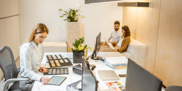 Project Manager / Management en Alicante · Redacción del Plan de mantenimiento